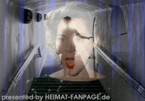 heimat43